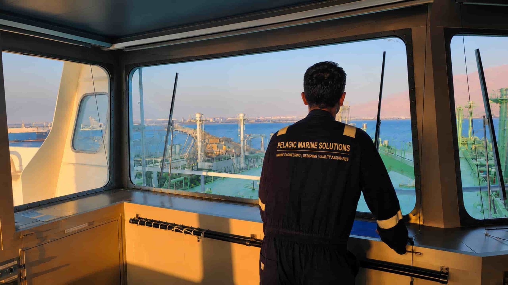 Pelagic Marine consultant on the bridge overlooking port operations at golden hour